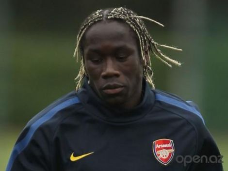 13339524_bacary-sagna-long-hairstyles-picture-500x375.jpg (16.62 Kb)