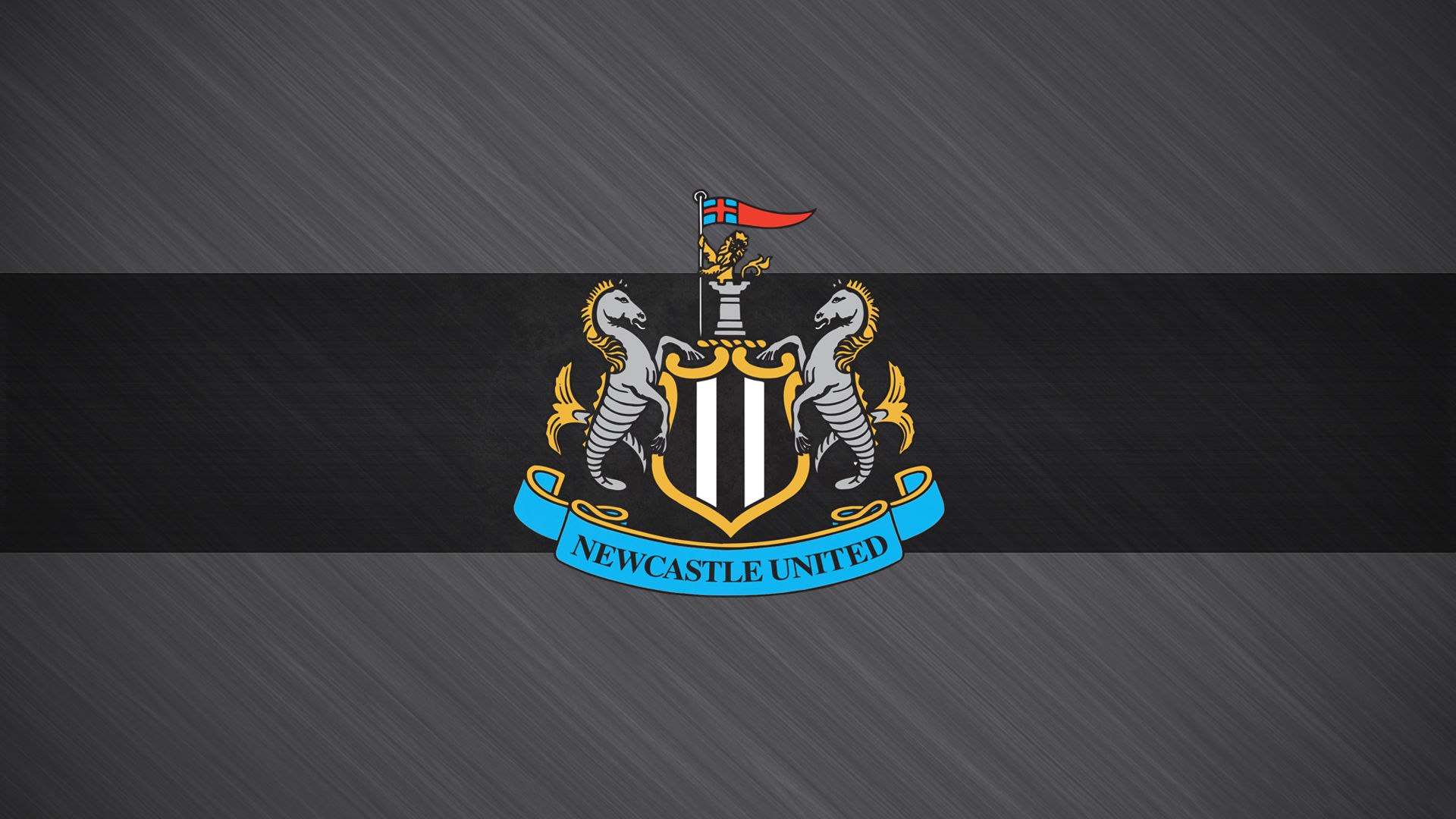 16946826_sport-photosota-club-p-futbolnii-klub-nyukasl-yunaited-11_42aea9a9.jpg (233. Kb)