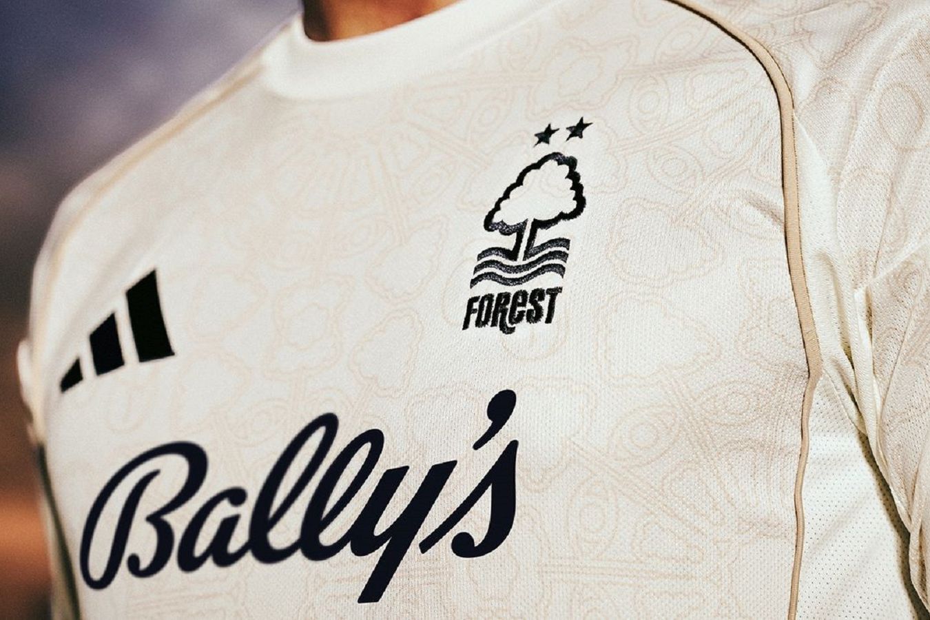 nottingem-forest-predstavil-vyezdnuyu-formu-na-sezon-2025-2026_17547299841162782869_3db6316a.jpg (182.33 Kb)