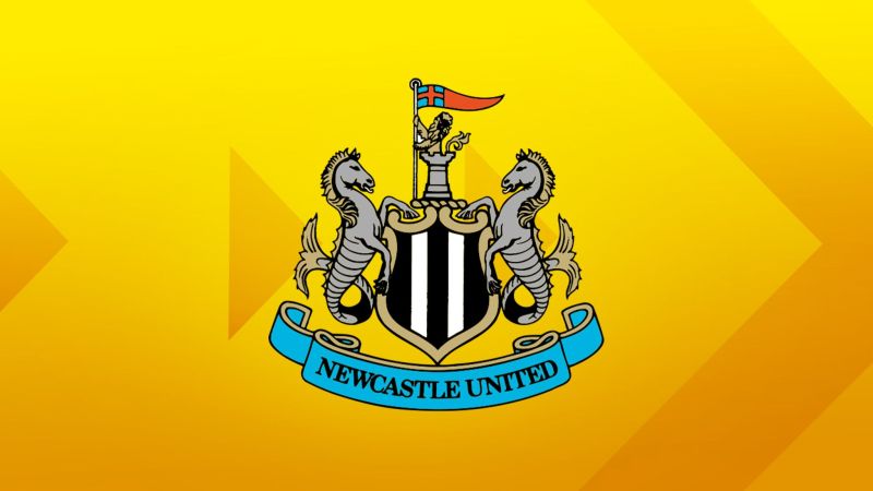 skysports-newcastle-transfers_6788678_a5c288.jpg (36.41 Kb)